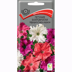 ����  ������� ����������� �������� ����� �������, ������ �� 80 ���