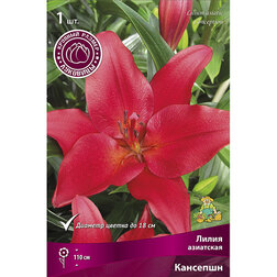 ����  ����� ��������� �������� (1��.), ������ �� 207 ���