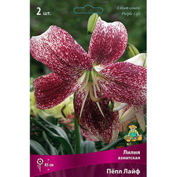 ����  ����� ��������� ϸ�� ���� (2��.), ������ �� 455 ���