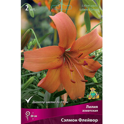 ����  ����� ��������� ������ ������� (2��.), ������ �� 455 ���