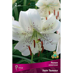 ����  ����� ��������� ���� ������ (2��.), ������ �� 455 ���