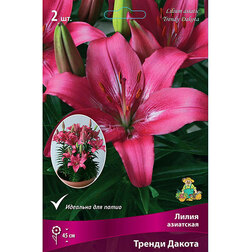 ����  ����� ��������� ������ ������ (2��.), ������ �� 306 ���