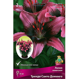 ����  ����� ��������� ������ ����� ������� (2��.), ������ �� 306 ���