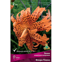 ����  ����� ��������� ����� ����� (2��.), ������ �� 462 ���