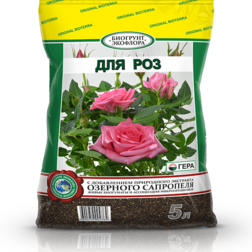 ����  ���� 5� ����, ������ �� 135 ���