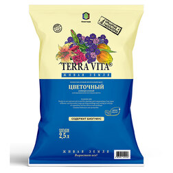 ����  ����� ����� ��������� 2,5�, ������ �� 98 ���