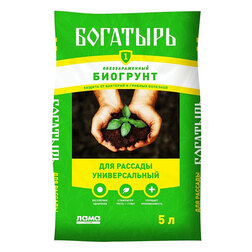 ����  ����� ��� ������� ������������� 