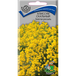 ����  ������� ������� �������, ������ �� 26 ���