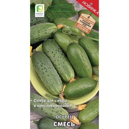 ����  ������ �����, ������ �� 41 ���