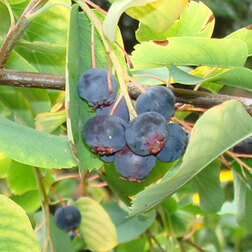 ����  ���� ������������ �����, ������ �� 719 ���