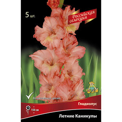 ����  ��������� ������ ��������, ������ �� 595 ���