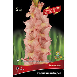 ����  ��������� ��������� �����, ������ �� 595 ���