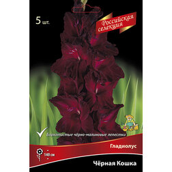 ����  ��������� ������ �����, ������ �� 688 ���