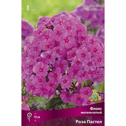 ����  ����� ����������� ���� ������, ������ �� 263 ���