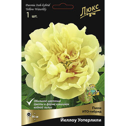 ����  ���� ���-������ ������ ���������* 2-3 �����, ������ �� 2864 ���