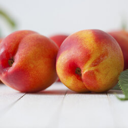 ����  �������� ���� (������ �����) (� �����), ������ �� 873 ���