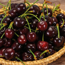 ����  ������� ������ (�������� ������ ���) (� �����), ������ �� 900 ���