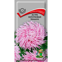 ����  ����� ���������� ��������, ������ �� 26 ���