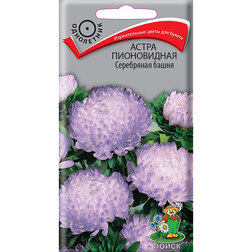 ����  ����� ����������� ���������� �����, ������ �� 26 ���