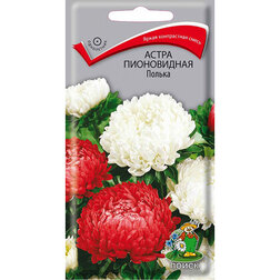 ����  ����� ����������� ������, ������ �� 26 ���