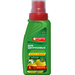 ����  ������ �����. �����. ��� ���������� �������� (285��), ������ �� 257 ���