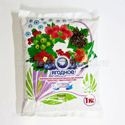 ����  ������ ������� (1��.), ������ �� 224 ���