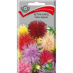 ����  ����� ���� ����� �������, ������ �� 26 ���