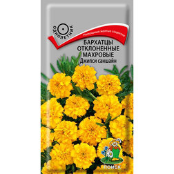 ����  �������� ����������� �������� ������ �������, ������ �� 26 ���