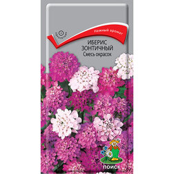 ����  ������ ��������� ����� �������, ������ �� 26 ���