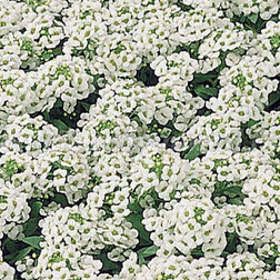 ����  ������� ����� ����� ���� (1��-1000��.) ���������������� ������, ������ �� 352 ���