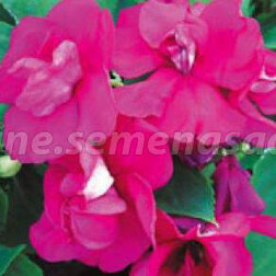 ����  ��������� �������� ����� ����� ����� (1��-250��) ���������������� ������, ������ �� 3280 ���