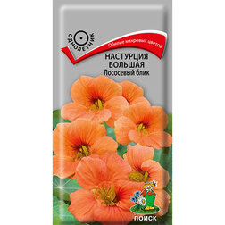 ����  ��������� ������� ��������� ����, ������ �� 26 ���