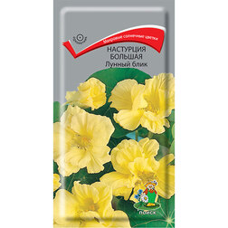 ����  ��������� ������� ������ ����, ������ �� 26 ���