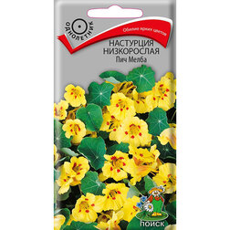 ����  ��������� ����������� ��� �����, ������ �� 28 ���