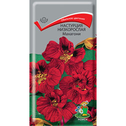 ����  ��������� ����������� ��������, ������ �� 29 ���