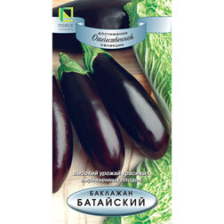 ����  �������� ���������, ������ �� 31 ���