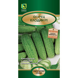 ����  ������ ������ F1, ������ �� 162 ���