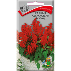 ����  ������� ���������� ���������, ������ �� 36 ���