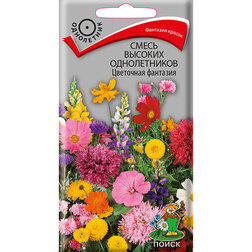 ����  ����� ������� ������������ ��������� ��������, ������ �� 30 ���