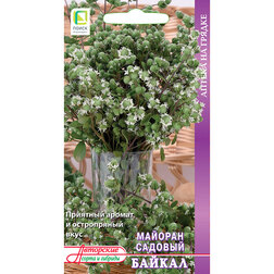 ����  ������� ������� ������, ������ �� 29 ���