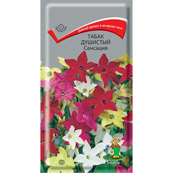 ����  ����� �������� ��������, ������ �� 26 ���