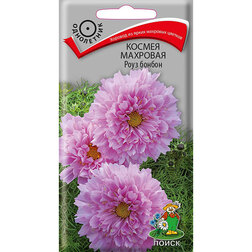 ����  ������ �������� ���� ������, ������ �� 81 ���