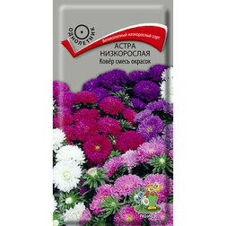 ����  ����� ����������� ���� ����� �������, ������ �� 26 ���