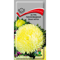 ����  ����� ����������� ����� �����, ������ �� 26 ���