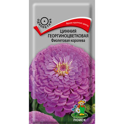 ����  ������ ����������������� ���������� ��������, ������ �� 26 ���