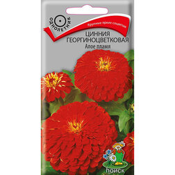 ����  ������ ����������������� ���� �����, ������ �� 26 ���