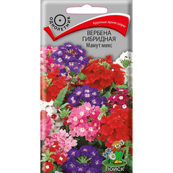 ����  ������� ��������� ����� ����, ������ �� 28 ���