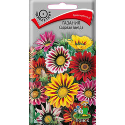 ����  ������� ������� ������, ������ �� 41 ���