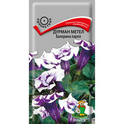 ����  ������ ����� �������� �����, ������ �� 81 ���