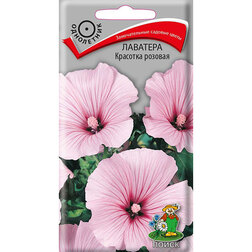 ����  �������� �������� �������, ������ �� 26 ���